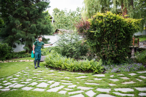 Best Emergency Pest Control  in Porterville, CA