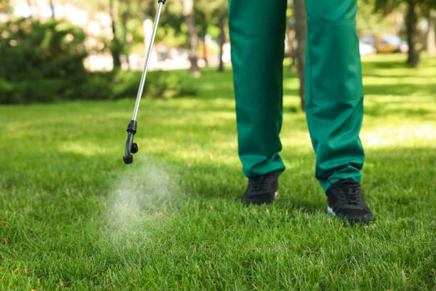 Best Rat Extermination Near Me  in Porterville, CA