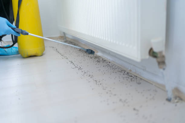 Best Exterminator Services  in Porterville, CA