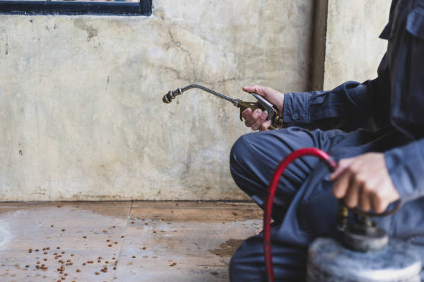 Best Local Pest Control Services  in Porterville, CA